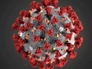 coronavirus coronavirus