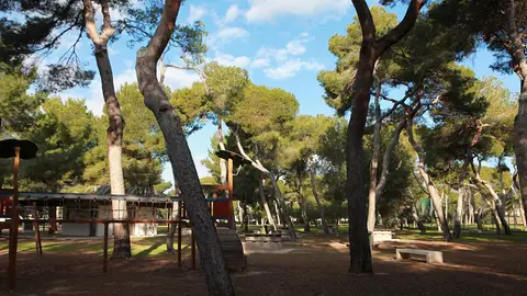 Parque el Pinar Parque el Pinar