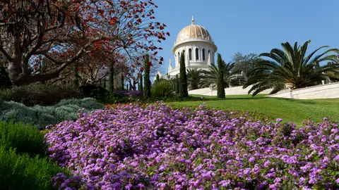 Jardines Bahai Jardines Bahai