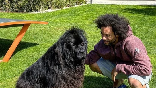 Marcelo y su perra Lola Marcelo y su perra Lola
