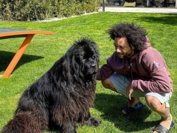 Marcelo y su perra Lola Marcelo y su perra Lola