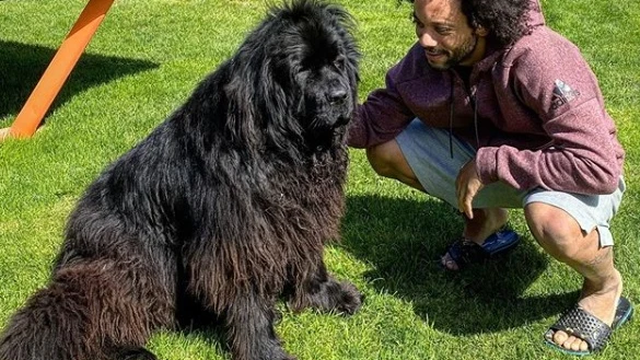 Marcelo y su perra Lola