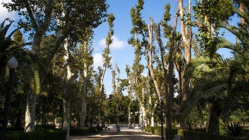 Castellón