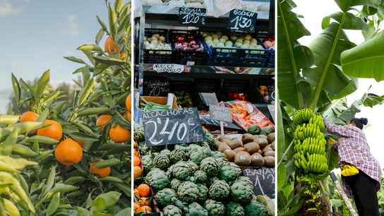El sector primario necesita el apoyo de los consumidores, para que éstos apuesten por el producto local Frutas y verduras