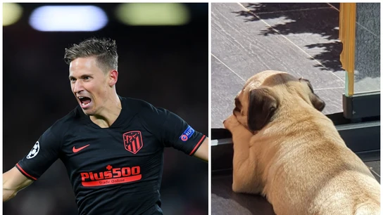 Marcos Llorente y su perro Marcos Llorente y su perro