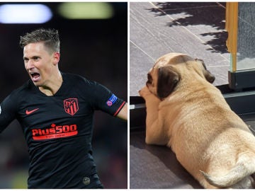 Marcos Llorente y su perro Marcos Llorente y su perro