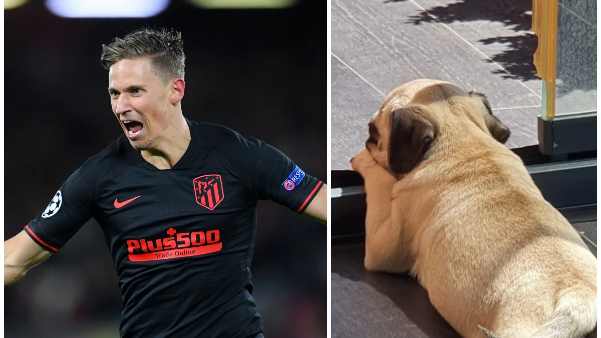 Marcos Llorente y su perro