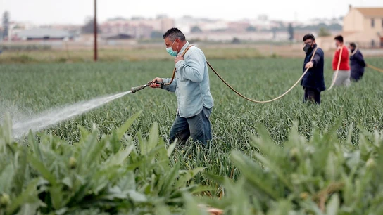 Imagen de archivo de trabajadores en el campo Imagen de archivo de trabajadores en el campo