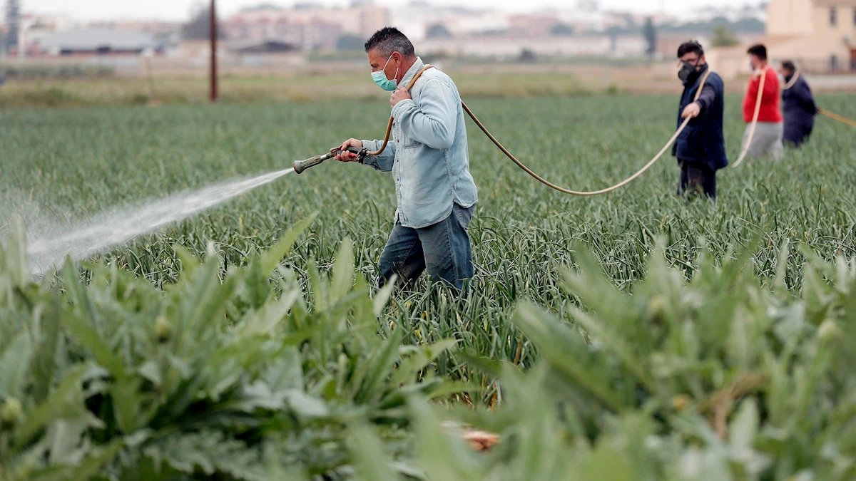 Imagen de archivo de trabajadores en el campo