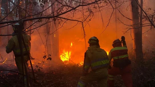 Imagen de los incendios de Cantabria Imagen de los incendios de Cantabria