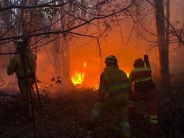 Imagen de los incendios de Cantabria Imagen de los incendios de Cantabria