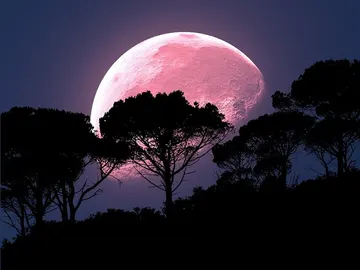 Luna Llena Rosa 2020: ¿Cuándo y cómo ver la luna rosa desde España? Luna Llena Rosa 2020: ¿Cuándo y cómo ver la luna rosa desde España?