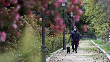 Un hombre con mascarilla pasea a su perro en Madrid