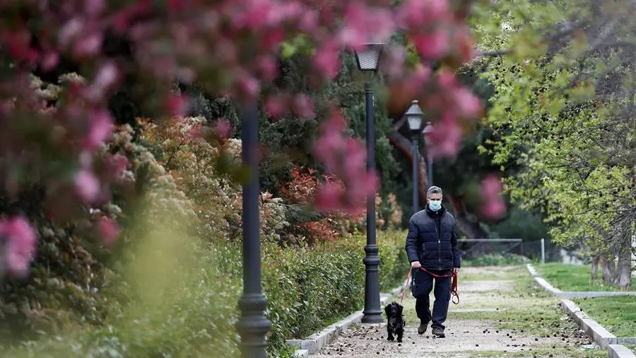 Un hombre con mascarilla pasea a su perro en Madrid