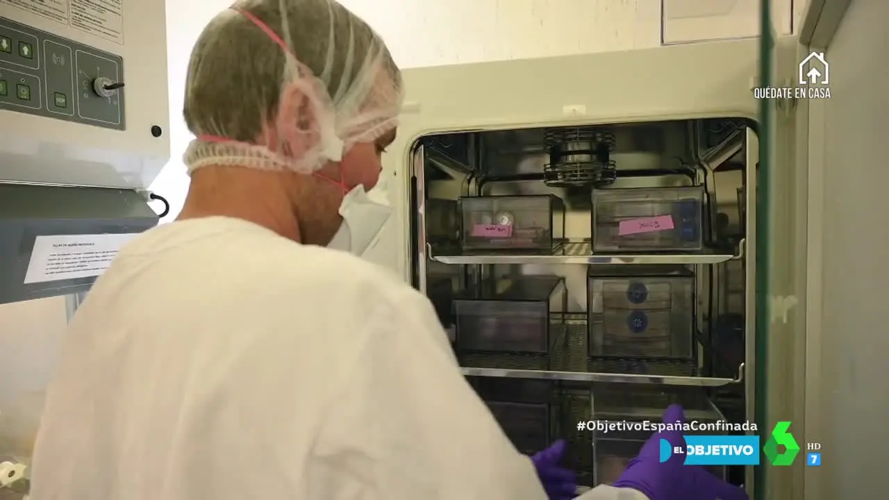 Un científico trabajando en un laboratorio de investigación. 