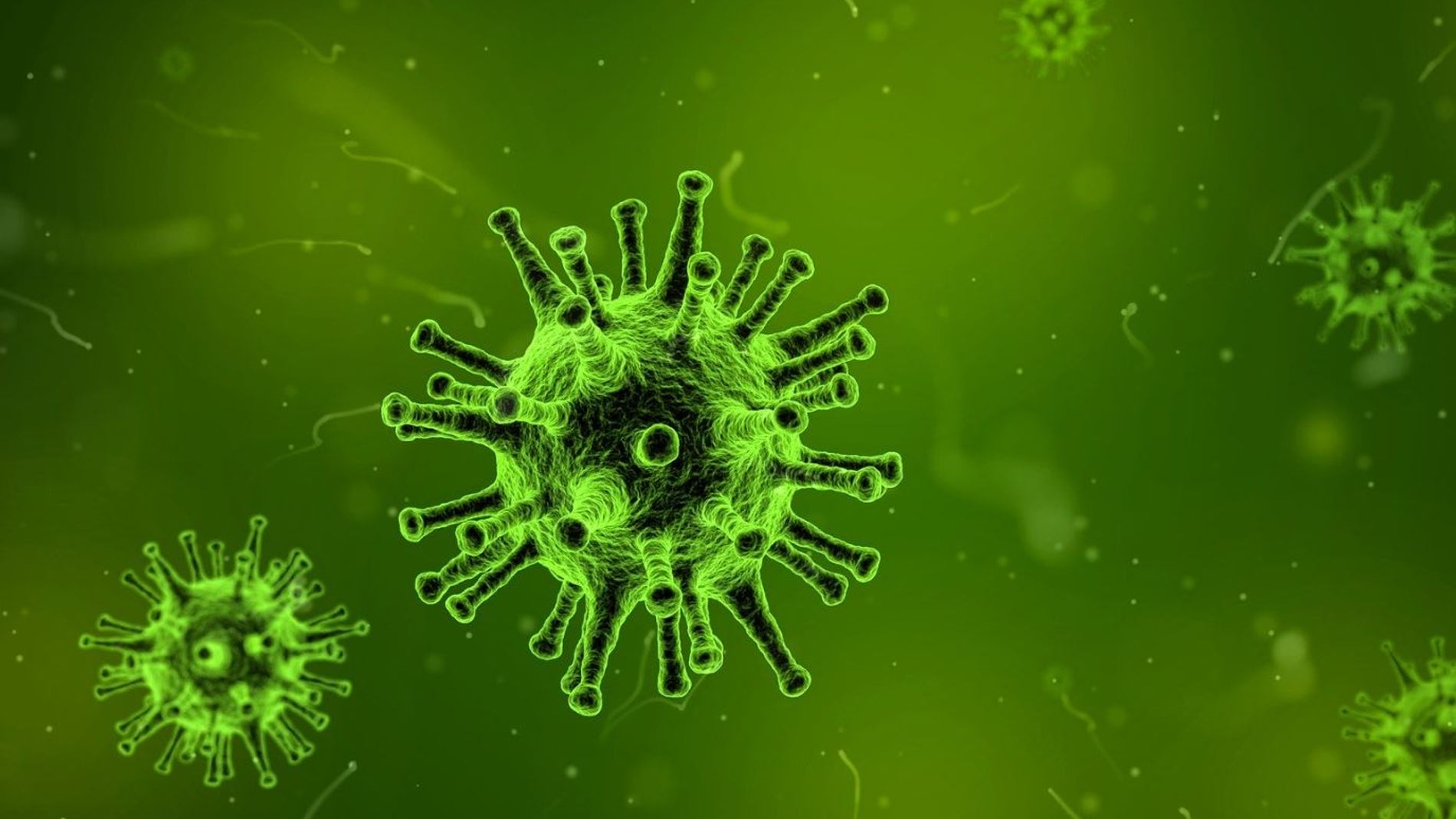 Descubren un polimero natural muy eficaz in vitro frente a cinco virus diferentes