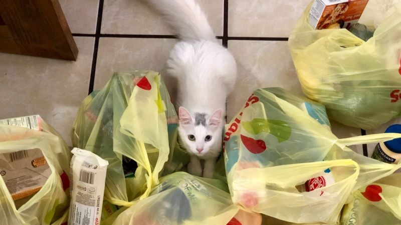 ¿Deberíamos volver a usar bolsas de plástico para evitar el contagio?