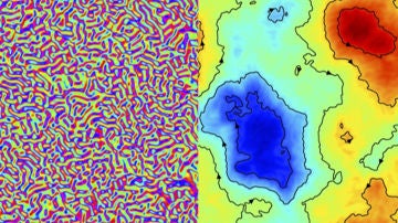 Descubiertas las propiedades universales de la turbulencia activa
