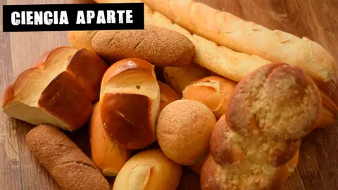 Panes de fabricación artesanal Panes de fabricación artesanal