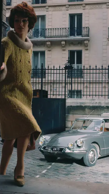 DS Tiburón DS Tiburón