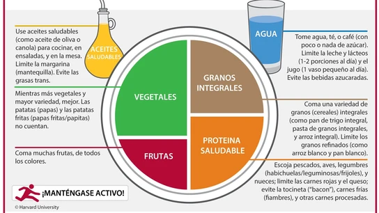 Para más información visite la Fuente de Nutrición, Departamento de Nutrición, Escuela de Salud Pública de Harvard, http://www.thenutritionsource.org y Publicaciones de Salud de Harvard, health.harvard.edu. Para más información visite la Fuente de Nutrición, Departamento de Nutrición, Escuela de Salud Pública de Harvard, http://www.thenutritionsource.org y Publicaciones de Salud de Harvard, health.harvard.edu.