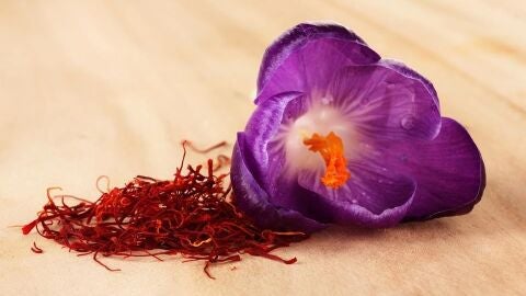 Flor de azafrán y pistilos