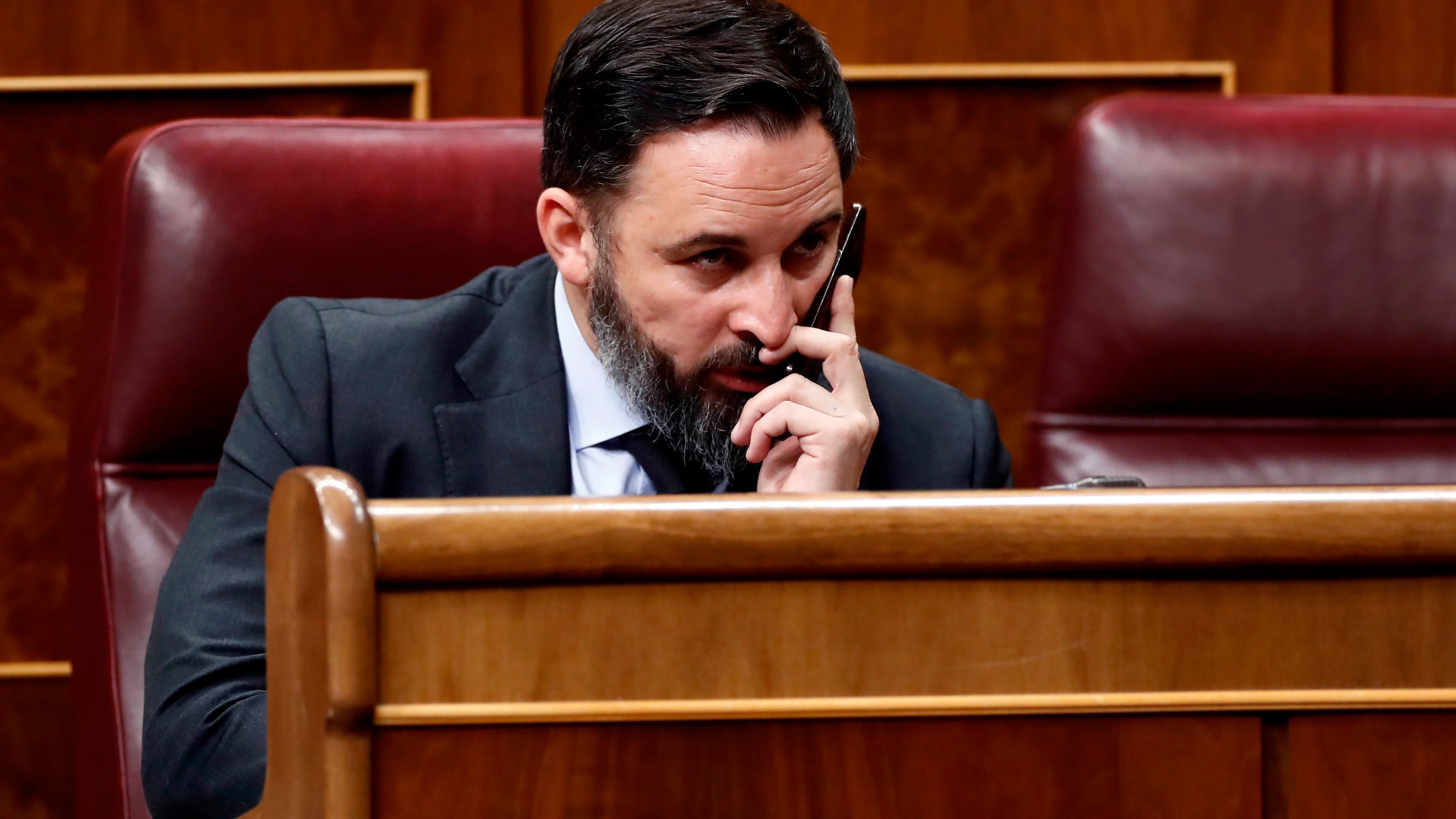 Santiago Abascal en el Congreso