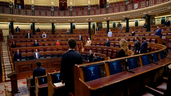 Vista general del hemiciclo, durante un minuto de silencio por las víctimas del coronavirus antes del inicio del pleno del Congreso Vista general del hemiciclo, durante un minuto de silencio por las víctimas del coronavirus antes del inicio del pleno del Congreso