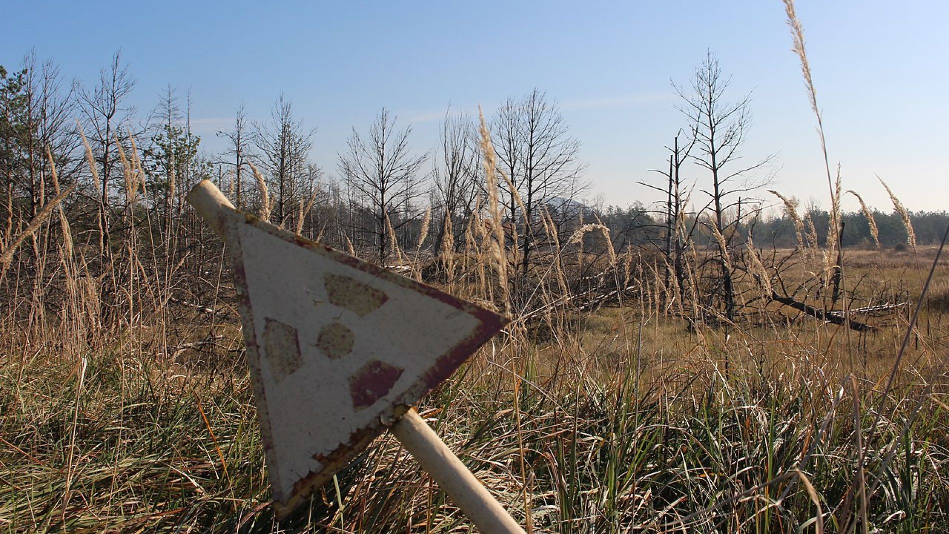 Señal de peligro por radiactividad en la zona de exclusión de Chernóbil