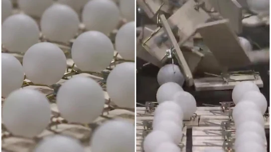 Bolas de ping pong Bolas de ping pong