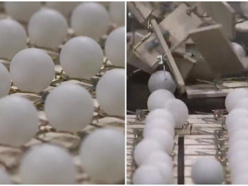 Bolas de ping pong Bolas de ping pong