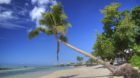 Samoa Samoa