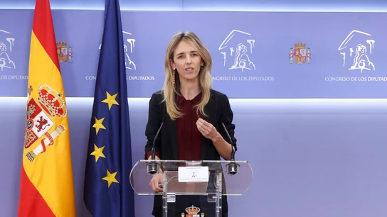 Cayetana Álvarez de Toledo, en una rueda de prensa telemática Cayetana Álvarez de Toledo, en una rueda de prensa telemática
