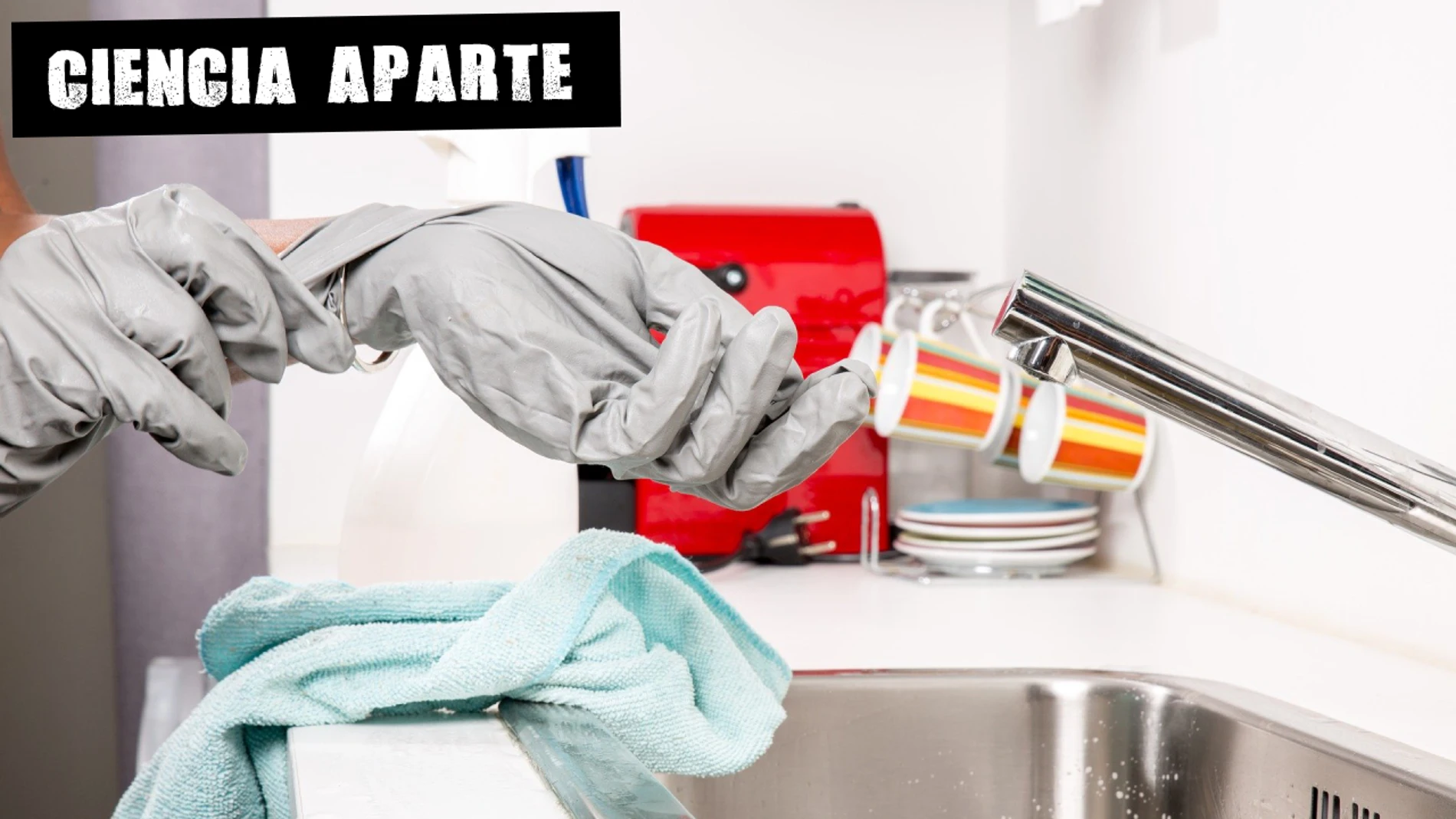 Desinfectar con lejía Desinfectar con lejía