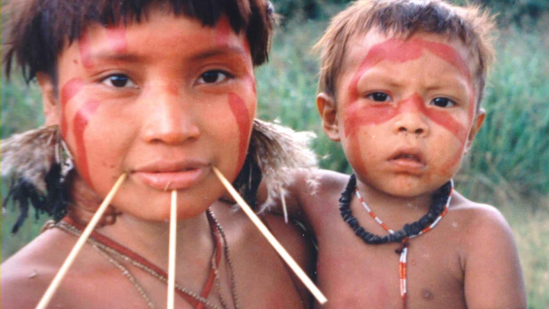 Cientificos brasilenos piden que se proteja a las poblaciones indigenas frente a la COVID 19