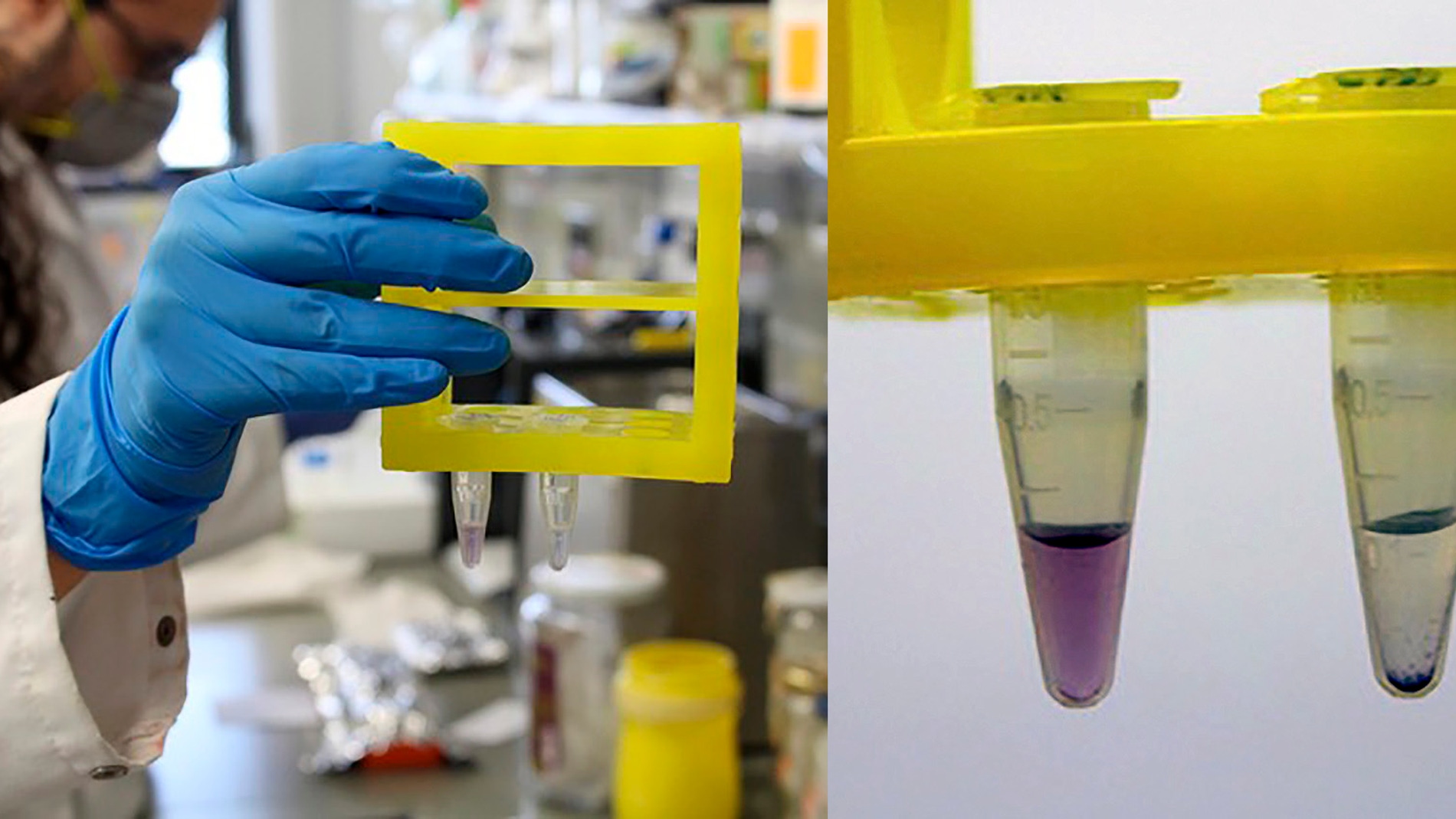Test colorimetrico con nanoparticulas de oro para detectar el coronavirus