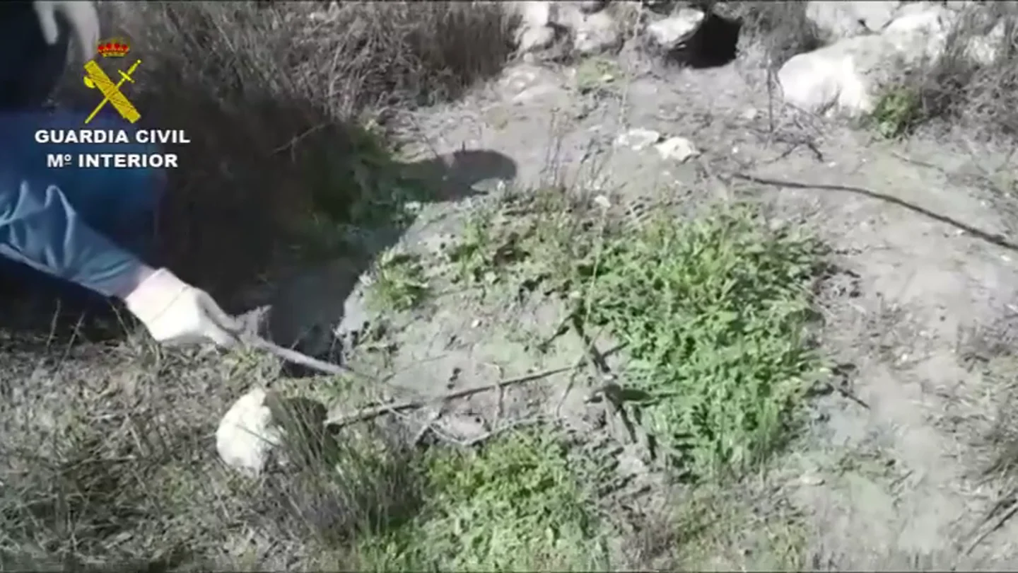 Investigan a una persona por saltarse el confinamiento para cazar en el Parque Nacional de las Tablas de Daimiel Investigan a una persona por saltarse el confinamiento para cazar en el Parque Nacional de las Tablas de Daimiel