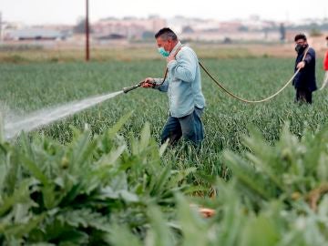 Agricultores durante la pandemia Agricultores durante la pandemia