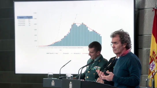 Fernando Simón analiza los datos del coronavirus en España durante una de sus comparecencias Fernando Simón analiza los datos del coronavirus en España durante una de sus comparecencias