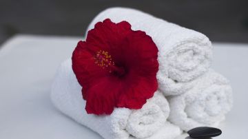 Imagen de archivo de toallas y una flor