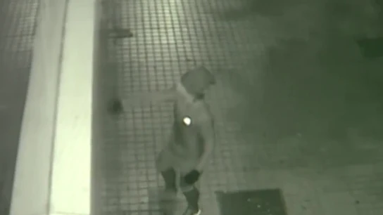 Imagen de un hombre pintando 'Asesino Pedro' en la fachada del PSOE Córdoba Imagen de un hombre pintando 'Asesino Pedro' en la fachada del PSOE Córdoba