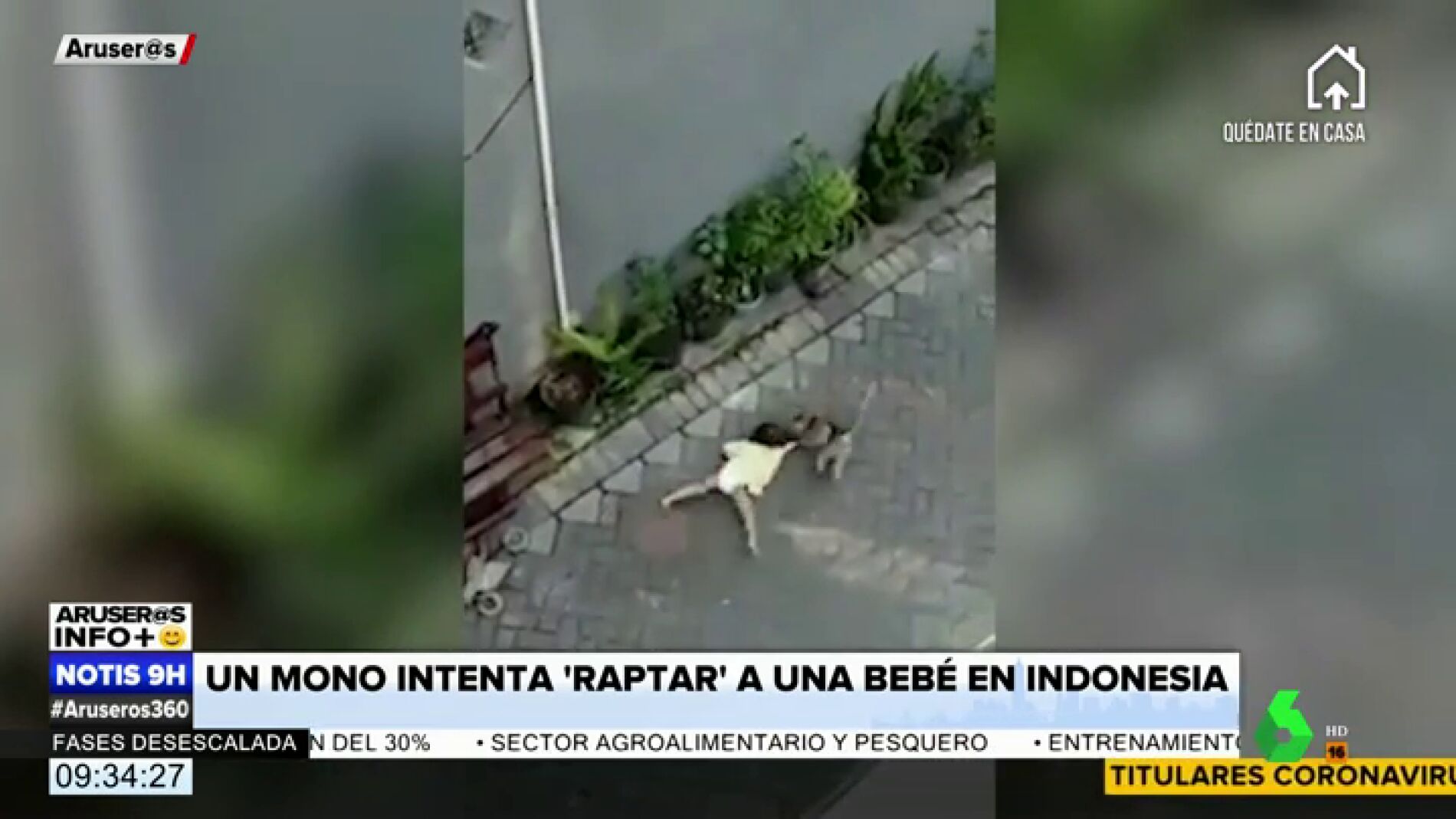 El vídeo surrealista en el que un mono subido a una moto intenta 'secuestrar' a un niño