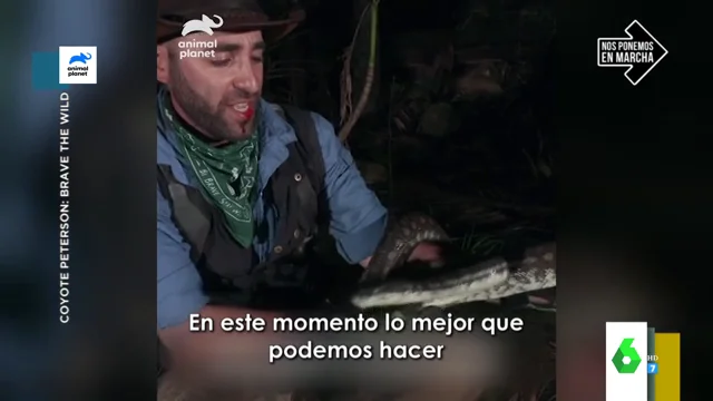 Coyote Peterson