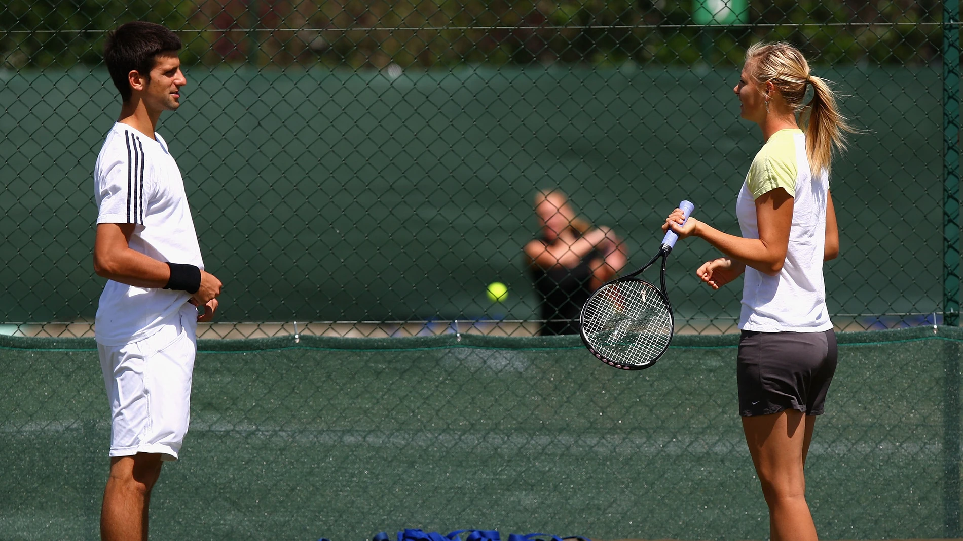 Novak Djokovic y Maria Sharapova