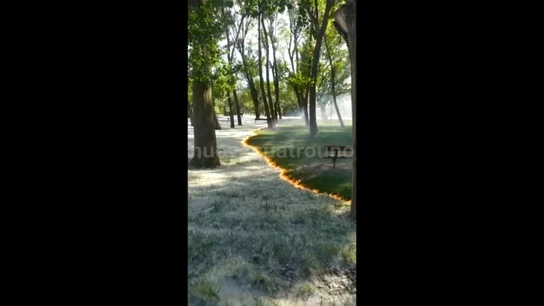 Las impactantes imágenes del pequeño incendio que avanza sobre las pelusas de los chopos Las impactantes imágenes del pequeño incendio que avanza sobre las pelusas de los chopos