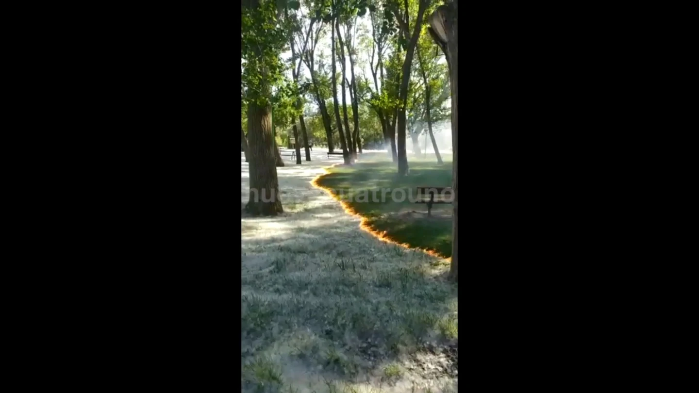 Las impactantes imágenes del pequeño incendio que avanza sobre las pelusas de los chopos Las impactantes imágenes del pequeño incendio que avanza sobre las pelusas de los chopos