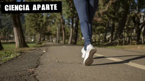 El deporte en la desescalada El Muro