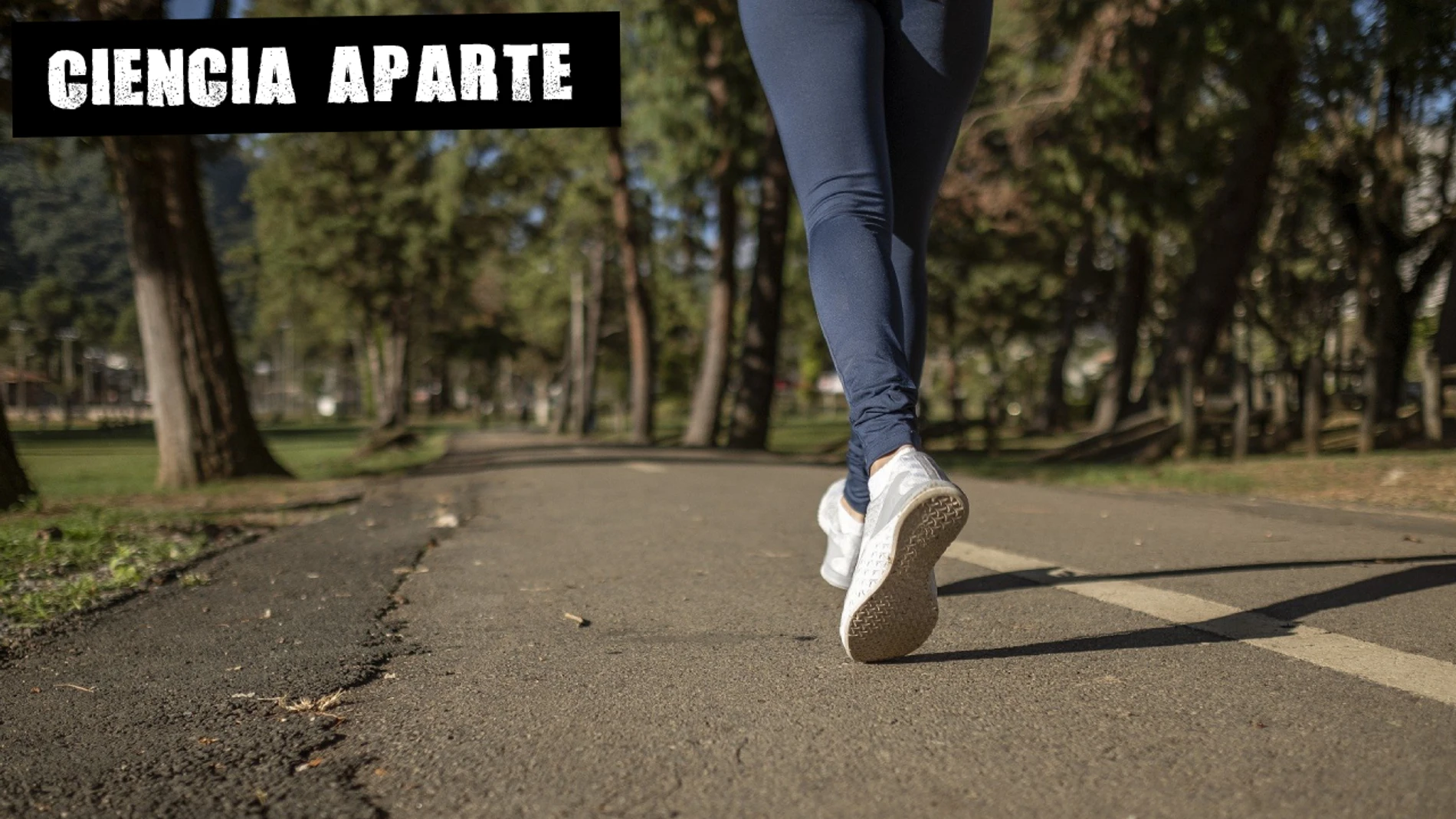 El deporte en la desescalada El deporte en la desescalada