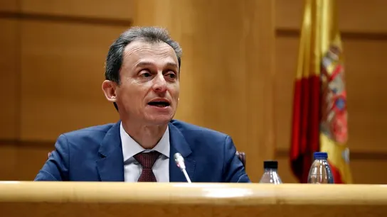 El ministro de Ciencia e Innovación, Pedro Duque El ministro de Ciencia e Innovación, Pedro Duque