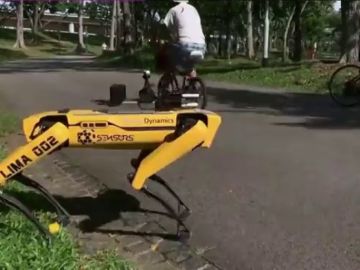 SPOT, el perro robot que vigila la distancia de seguridad SPOT, el perro robot que vigila la distancia de seguridad